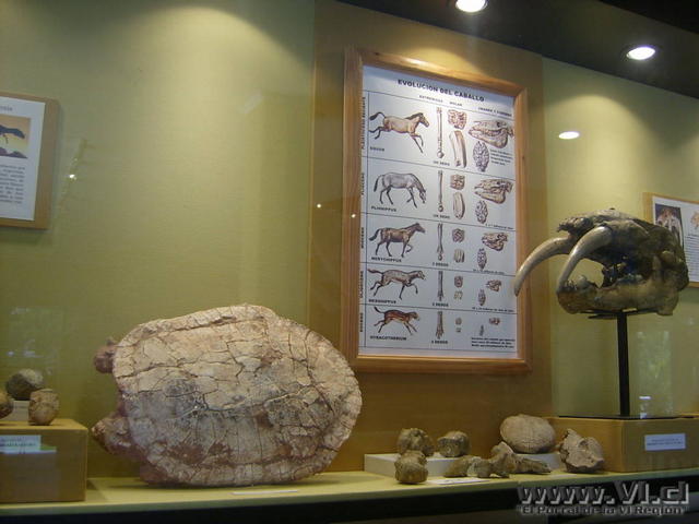 museocolchagua143.JPG