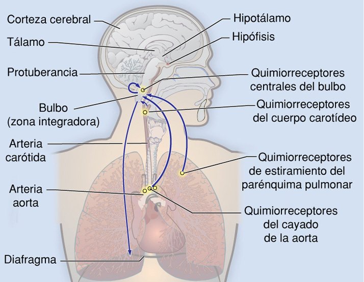 Imagen enviada