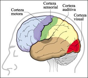 Imagen publicada