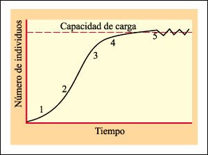 Imagen publicada