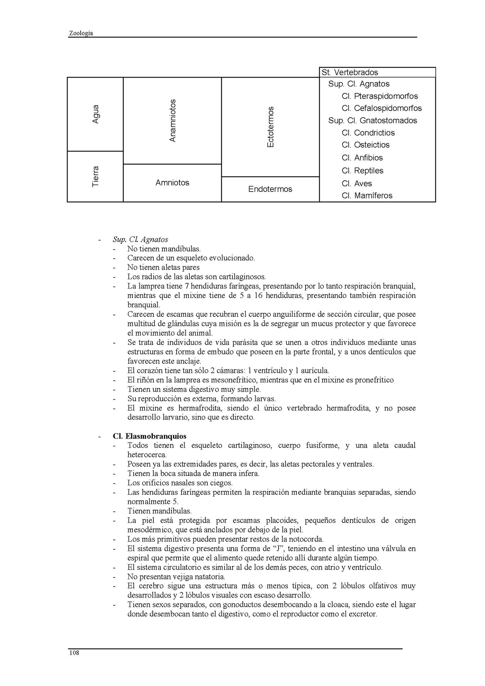 Imagen publicada