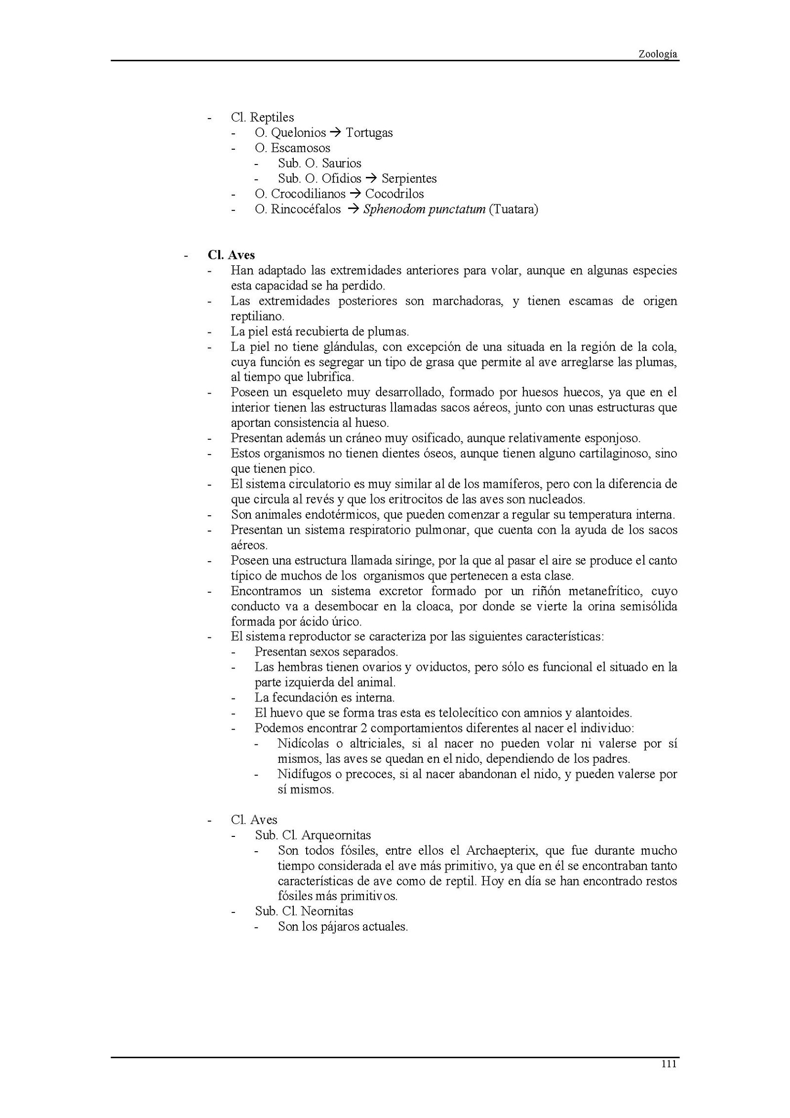 Imagen publicada
